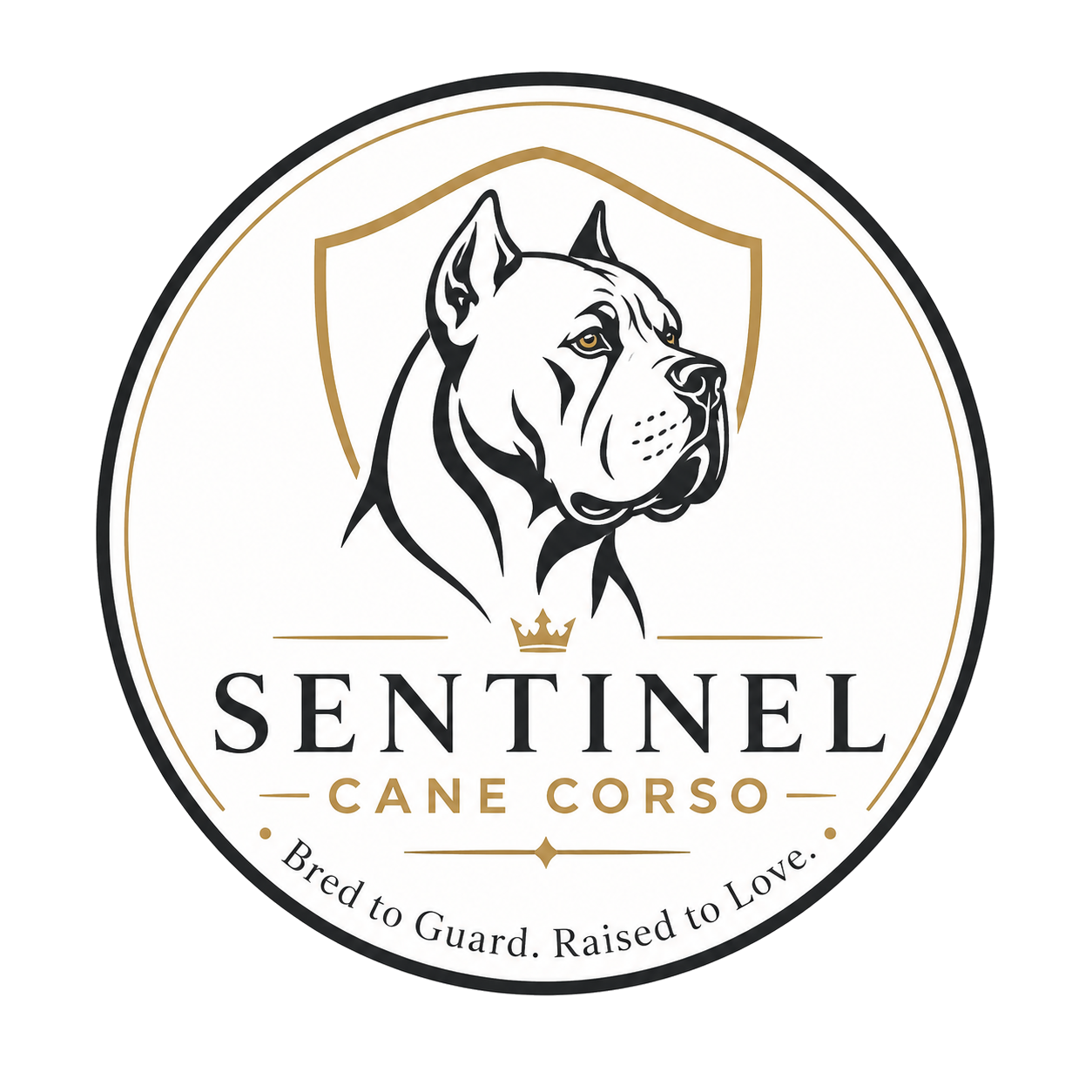 Sentinel Cane Corso
